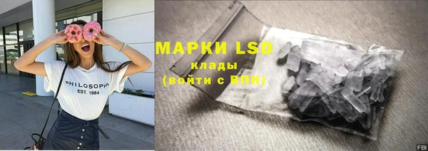 прущие грибы Инта