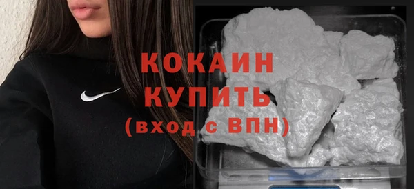 прущие грибы Инта