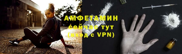 прущие грибы Инта