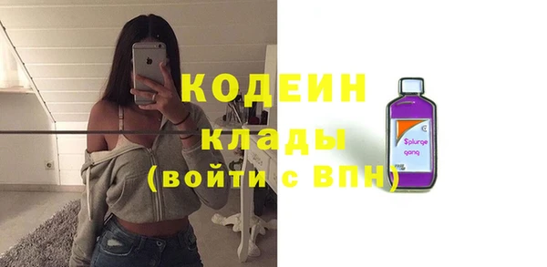 прущие грибы Инта