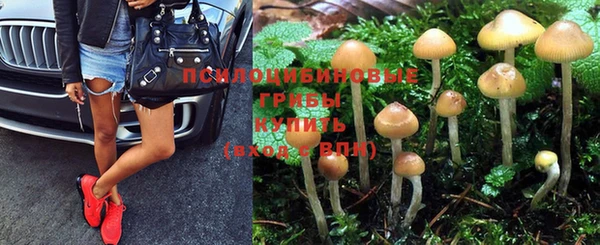 марки lsd Иннополис