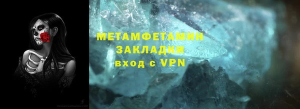 прущие грибы Инта