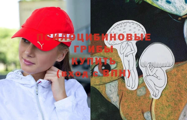 a pvp Инсар