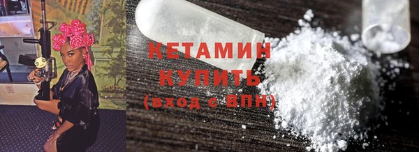 прущие грибы Инта