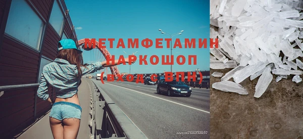 прущие грибы Инта