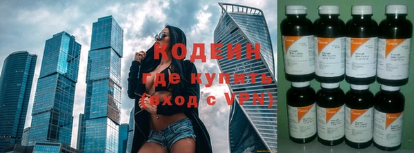 прущие грибы Инта