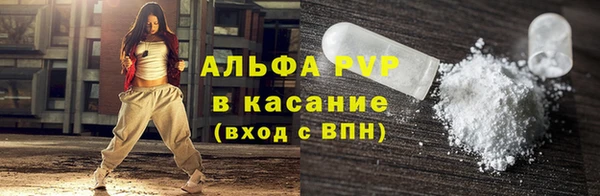 прущие грибы Инта