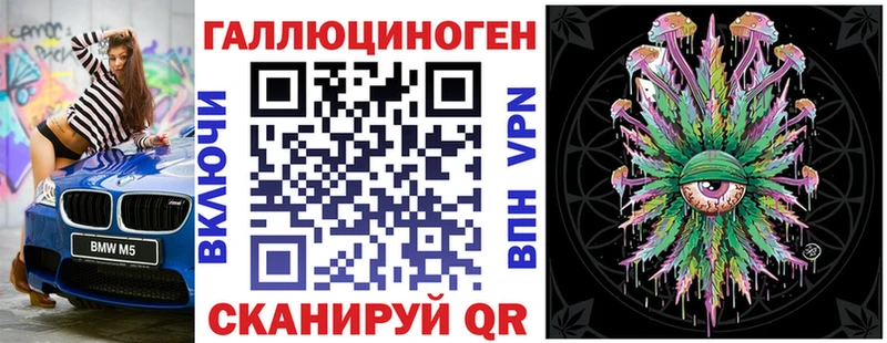 Псилоцибиновые грибы Psilocybe  Купить закладки  Волхов 